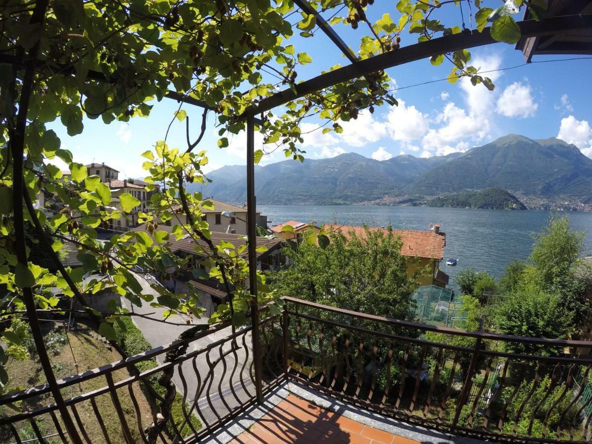 L'Agrifoglio Apartment Lezzeno Exterior photo